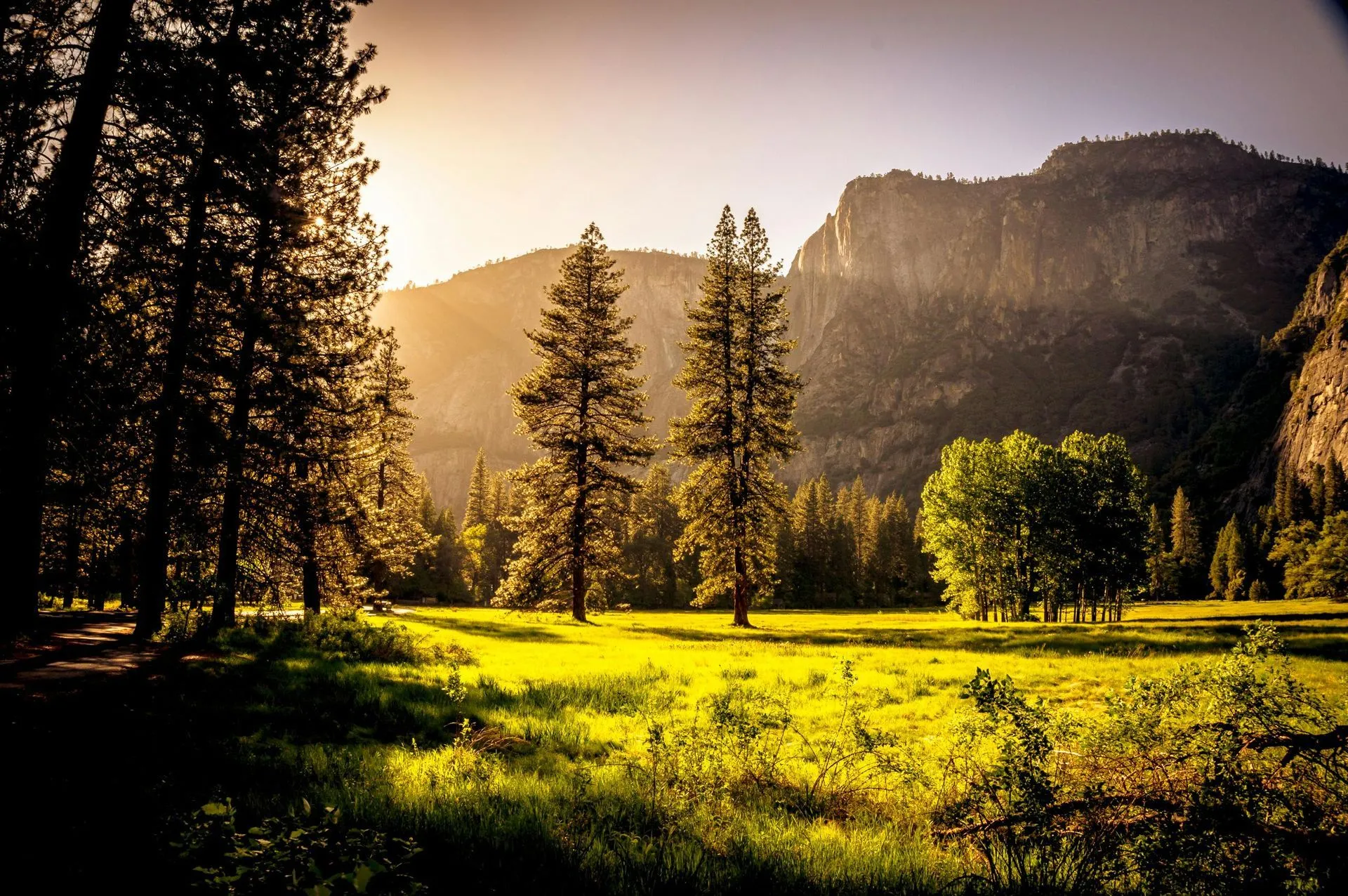 Procurement-led supply chain cost and emissions savings