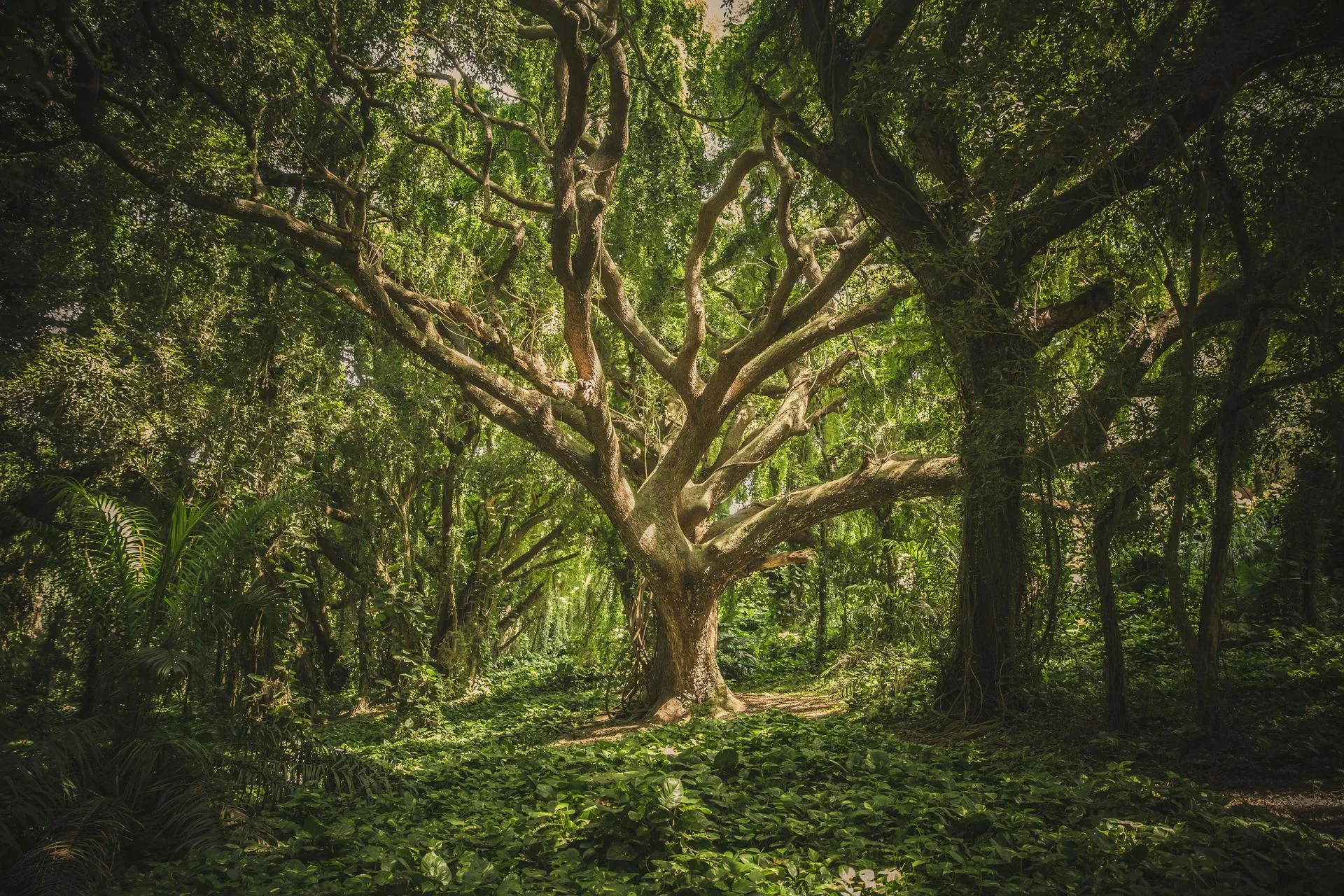Short-termism undermining long-term business growth
